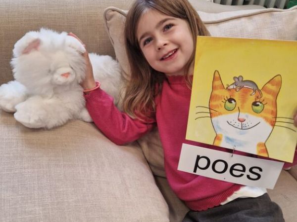 La1: Schattige poes!