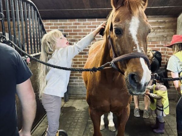 K2 * Prachtige paardenuitstap!